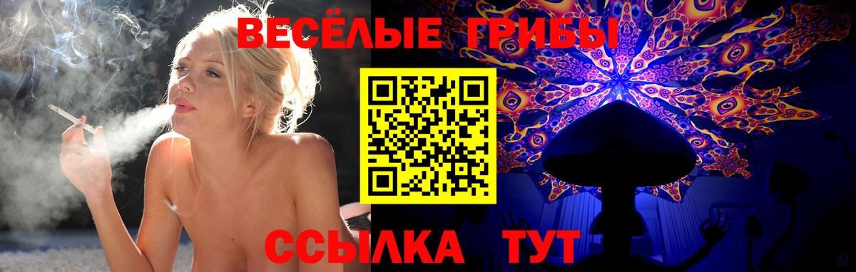 Валуйки  Псилоцибиновые грибы прущие грибы  Галлюциногенные грибы прущие грибы  Вход с VPN 
